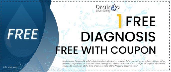 1 FREE Diagnosis With Coupon